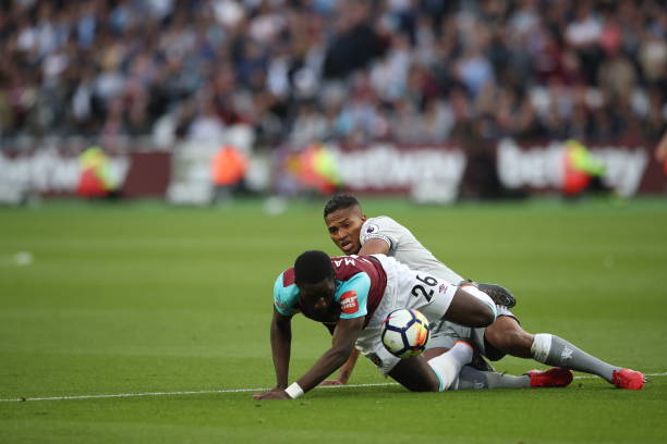 自我修復極 自我修復極